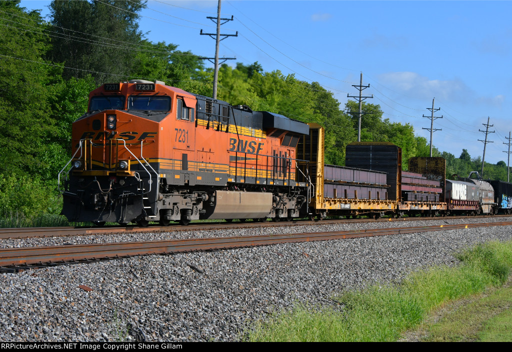 BNSF 7231